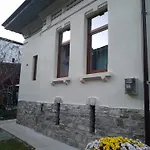 Green Studio